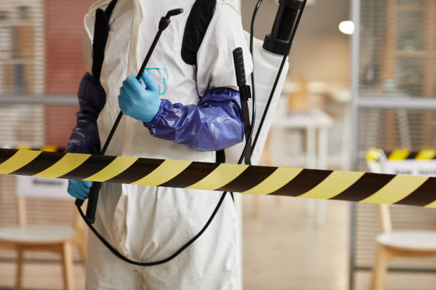 Professional Sewage Cleanup technician working in Ballwin, MO